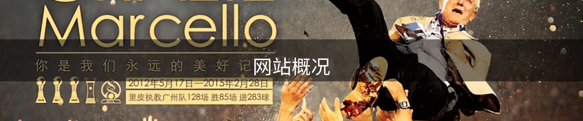 网站概况